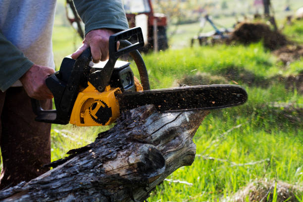 Soil Testing and Treatment in Syosset, NY